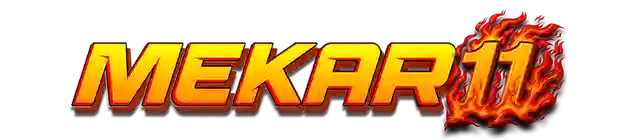MEKAR11-Google